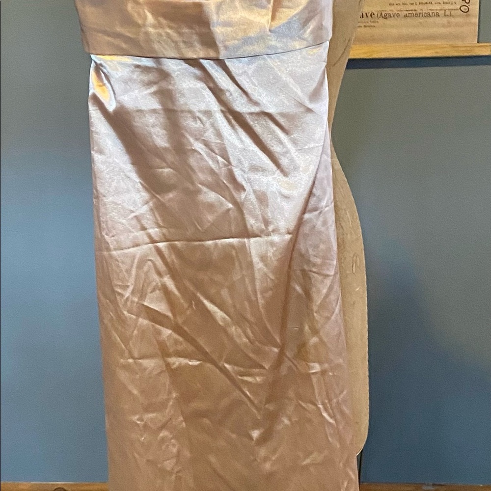 Gorgeous, never worn, evening gown